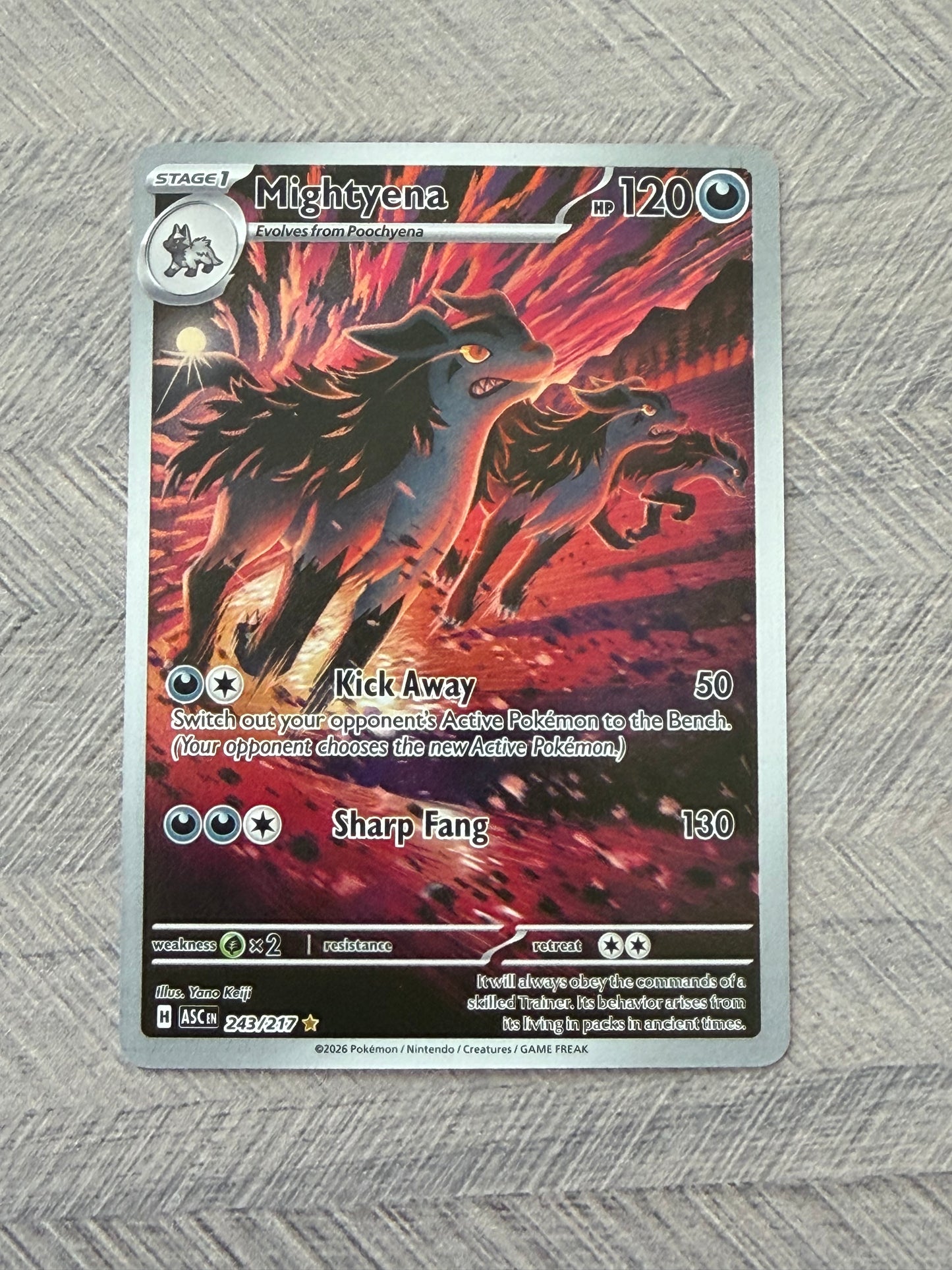 Mightyena 243/217 IR Ascended Heroes Pokémon Card - English