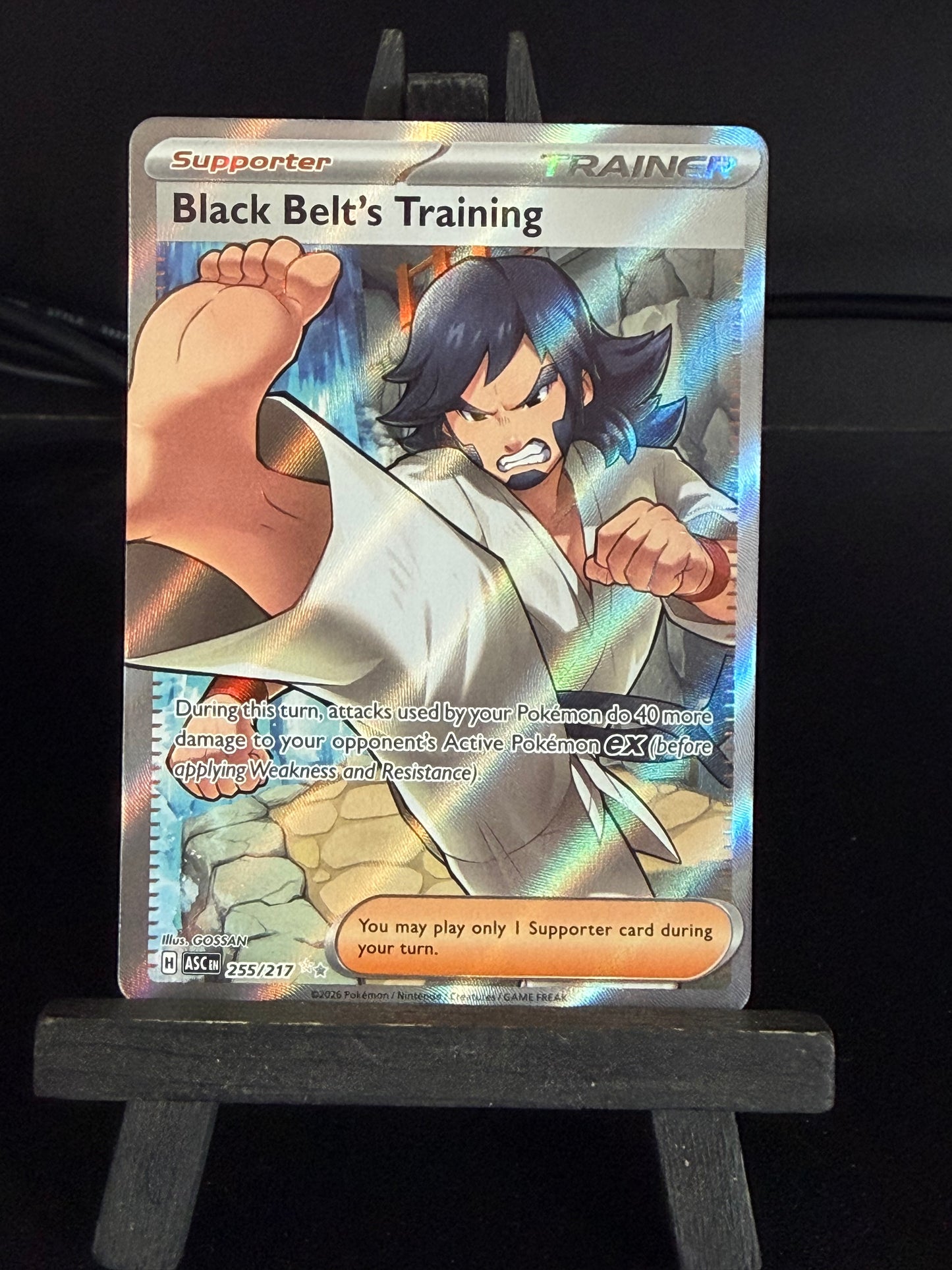 Black Belt's Training 255/217 Full Art Ascended Heroes Pokémon Card - English