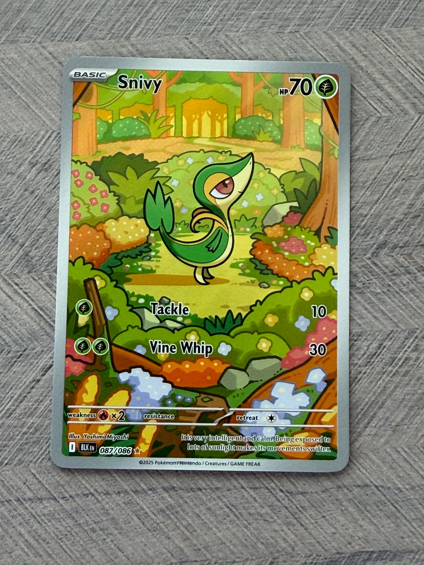Snivy 087/086 IR Black Bolt Pokémon Card - English